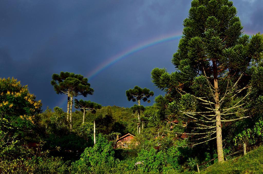 Pousada Das Araucarias Hotel Visconde De Maua Exterior foto